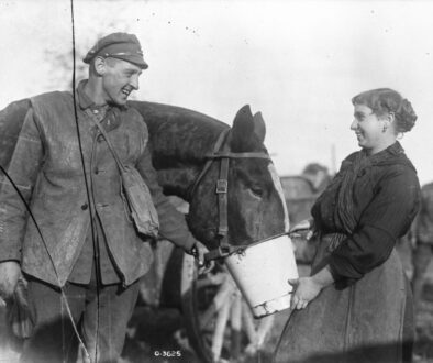 296_(Belgian) A Belgian girl gives Canadian Artillery horse a drink. November, 1918.